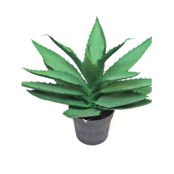 Kwiat w doniczce Aloes 28cm